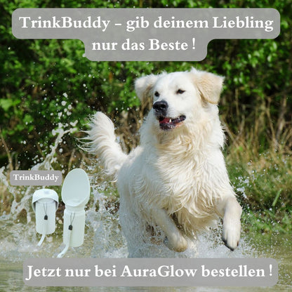 TrinkBuddy - frisches Wasser immer dabei - für deinen besten Freund 🐶